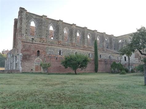 Abbazia Di San Galgano Chiusdino TripAdvisor