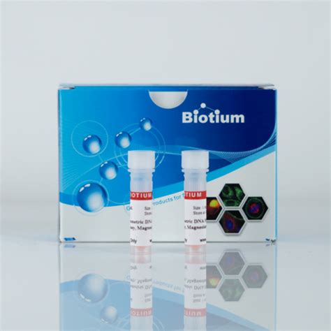 Evaez™ Fluorometric Polymerase Activity Assay Kit Biotium