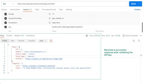 Understanding API Key Authentication in Detail