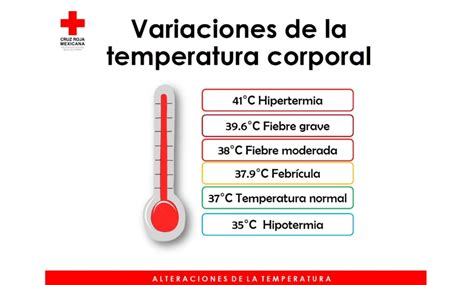 Valores De La Temperatura Corporal Normal Reverasite