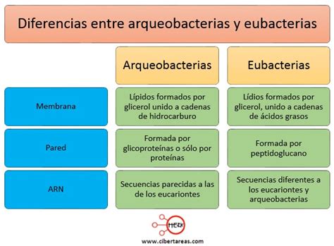 Biolog A Arqueobacterias Y Eubacterias