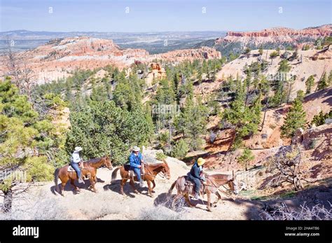 horseback riders,bryce canyon,bryce canyon national park,utah,usa Stock ...