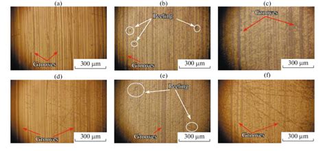 Micrographs of the PEEK-on-PEEK ((a) is the pin, (d) is the disk ...