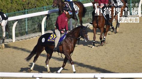 【nhkマイルc 2022】最終追い切りを動画で解説井内利彰 競馬予想動画 Netkeiba