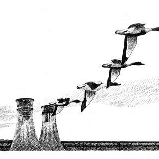 The distribution of Shelduck records in 7-day periods. | Download ...