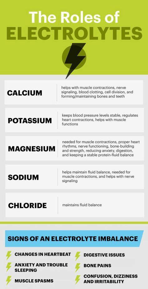 Sugar Free Electrolyte Drinks Recipe Muscle Function Muscle