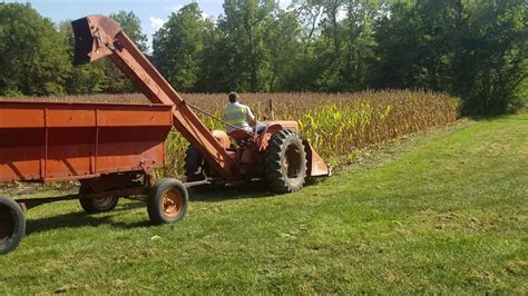 Picking Corn With My Allis Chalmers Wd And 33 Corn Picker YouTube