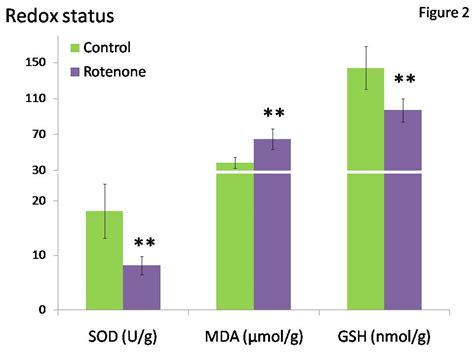 Imbalance Between Dopaminergic And Cholinergic Neurotransmission