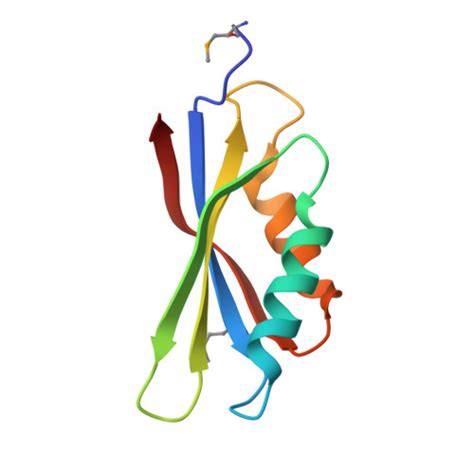 Rcsb Pdb Yy Crystal Structure Of Translation Elongation Factor Ef