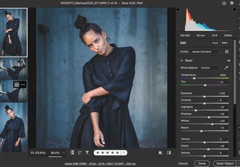 Guide To Adobe Camera Raw Vs Lightroom And Photoshop