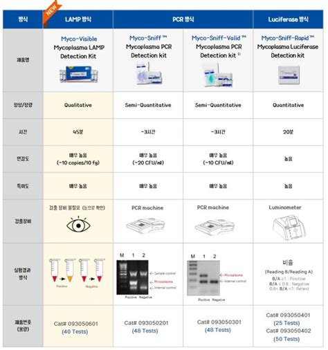 Mycoplasma Contamination 3편 마이코플라즈마 검출 키트 Mycoplasma Detection Kit Selection Guide