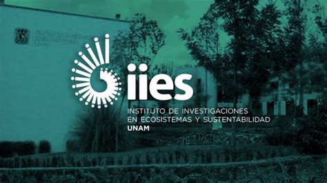 Terna Para La Dirección Del Instituto De Investigaciones En Ecosistemas