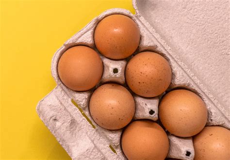 Onde se deve guardar ovos Despensa ou frigorífico Provavelmente é