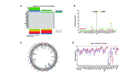 Landscape Of Gene And Expression Changes Of M A Modulators In Aml