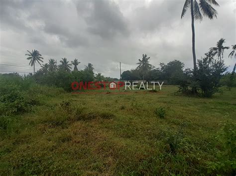 Lot For Sale In Camanjac Dumaguete City Negros Oriental One Stop