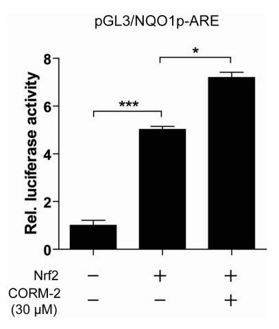 Effects Of CORM 2 On Nrf2 Mediated NQO1 Promoter Activity HepG2 Cells