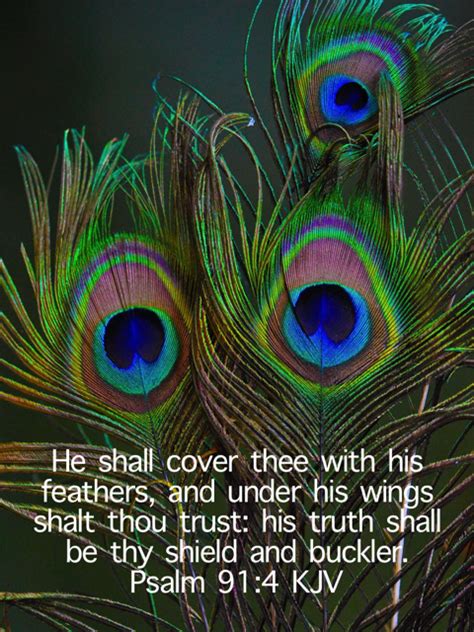 Psalm 91 4 He Shall Cover Thee With His Feathers And Under His Wings