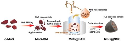 Schematic Illustration Of The Fabrication Process For The Mnsnsc