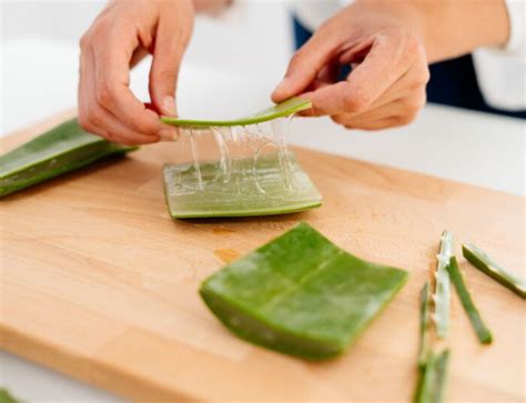 Cómo hacer gel de aloe vera puro casero PequeRecetas