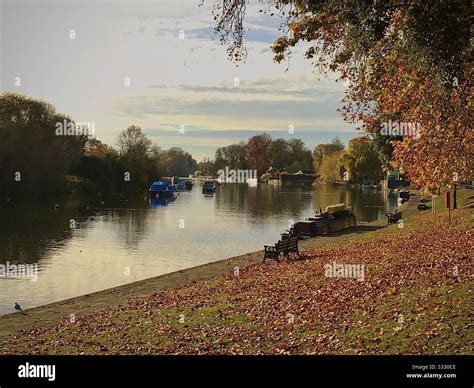 Riverside Sunbury On Thames High Resolution Stock Photography And