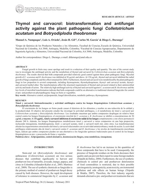 Pdf Thymol And Carvacrol Biotransformation And Antifungal Activity