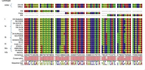 Figure From Development And Validation Of A Novel Taqman Based Real