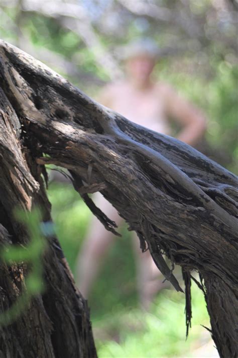 Naked Old Free Photo On Pixabay Pixabay