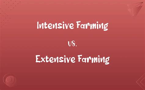 Intensive Farming Vs Extensive Farming Know The Difference