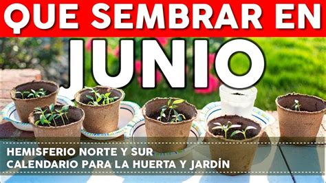 Calendario De Siembra Que Sembrar En Junio En El Huerto De