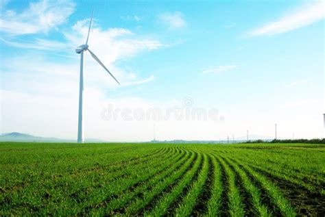 Turbinas De Vento Campo Amarelo Foto De Stock Imagem De Alternativa