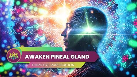 Activate Dmt Release Awaken Pineal Gland Third Eye Purification