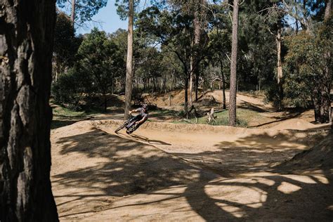 Riding Bikes At Anglesea Bike Park Riparide