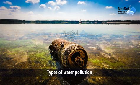 How many types of water pollution - Netsol Water