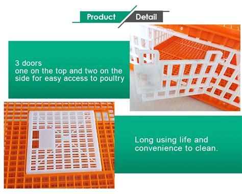 Poultry Equipment Three Doors Plastic Poultry Carrier Transport Crate