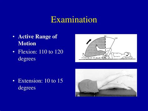 Ppt Hip Anatomy Powerpoint Presentation Free Download Id 1221961