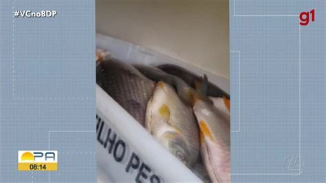 V Deo Prf Apreende Tonelada De Pescado Sem Nota Fiscal No Nordeste