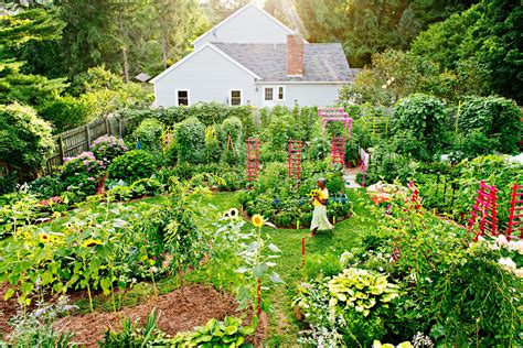 Plant Your Own Permaculture Garden With These Tips