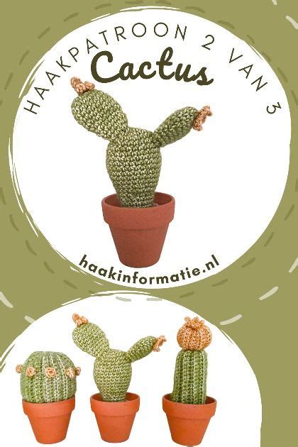 Haakpatroon Cactus Van Haakinformatie Gratis Haakpatroon