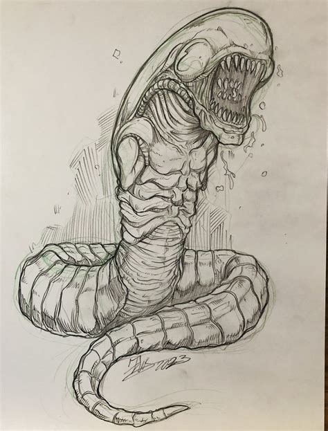 Xenomorph Chestburster Drawing