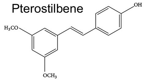 Pterostilbene Review Benefits Dosage Side Effects