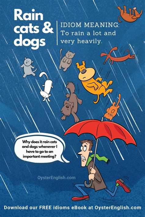 Idiom Raining Cats And Dogs Meaning And Examples