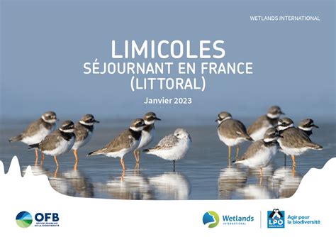 Résultats 2023 du comptage annuel des oiseaux deau en France Pôle