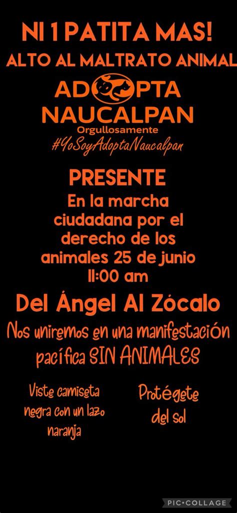 Mascotas Sismo on Twitter RT AdoptameNaucal1 El próximo 25 de Junio