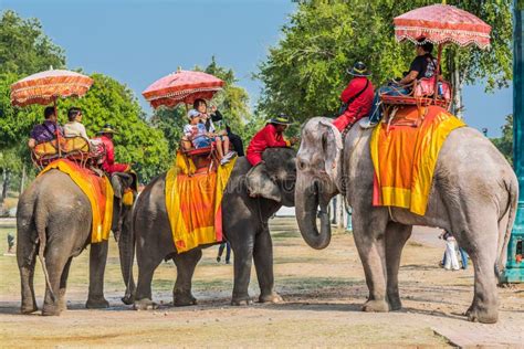 Tourists Riding Elephants Ayutthaya Bangkok Thailand Editorial Photo