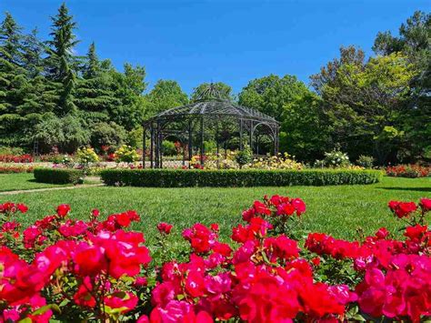Университетска ботаническа градина – Екопарк Варна - winetour-northeast.bg