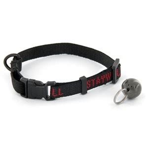 Pet Shop Direct PetSafe Staywell Deluxe Magnetic Mouse Key Collar