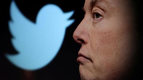 États Unis Loiseau Est Libéré Elon Musk Confirme Le Rachat De Twitter