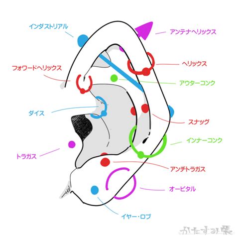 【イラスト付き】ピアスの位置や名前を知って一味違うキャラ作り！ かたすみ帳