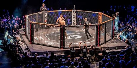 Kampfsportler über Politik Und Mma „spiel Um Körperliche Dominanz