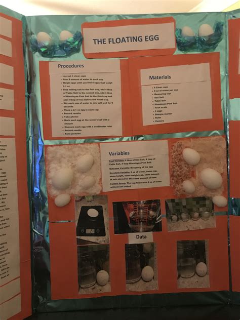 Floating Egg In Salt Water Science Project